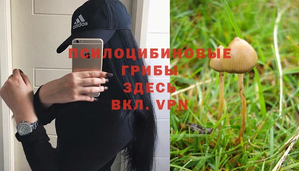 2c-b Балахна