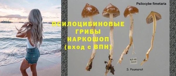 2c-b Балахна