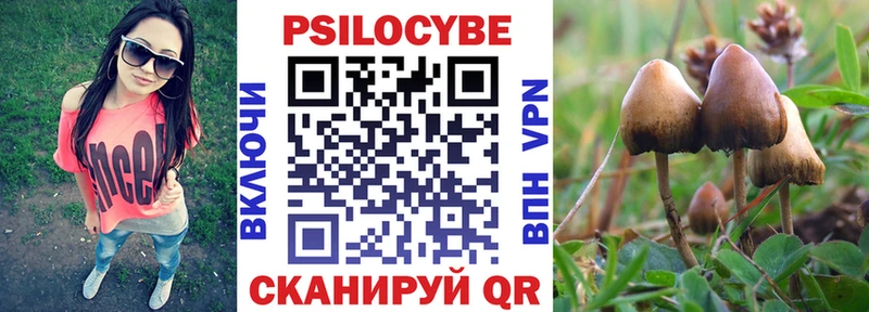 маркетплейс формула  Суворов  Псилоцибиновые грибы GOLDEN TEACHER 